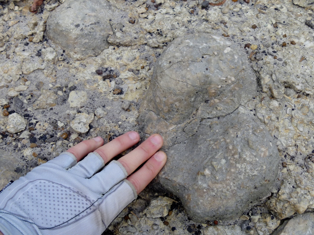 bulbous structure in rocky outcrop with white hand for scale (structure is about 10 cm across)